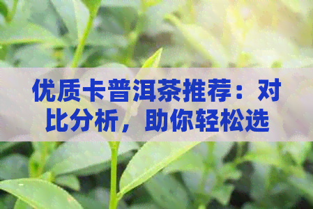 优质卡普洱茶推荐：对比分析，助你轻松选出心头好