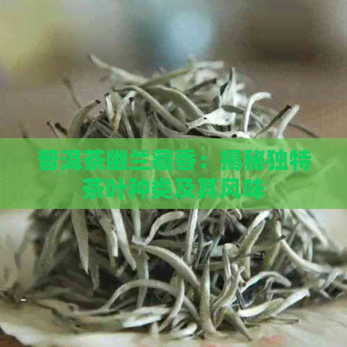 普洱茶幽兰藏香：揭秘独特茶叶种类及其风味