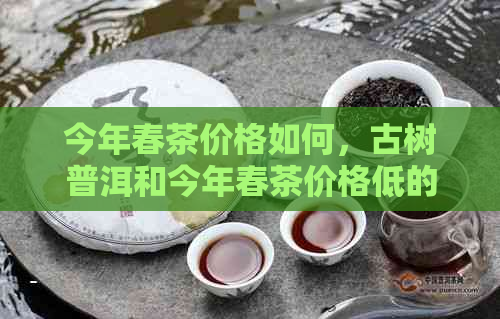 今年春茶价格如何，古树普洱和今年春茶价格低的原因是什么？