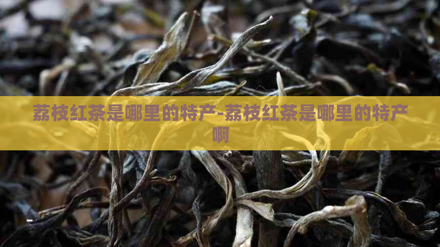 荔枝红茶是哪里的特产-荔枝红茶是哪里的特产啊