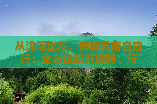 从沈阳出发，探秘云南自由行：全方位旅游攻略、行程规划与必备事项