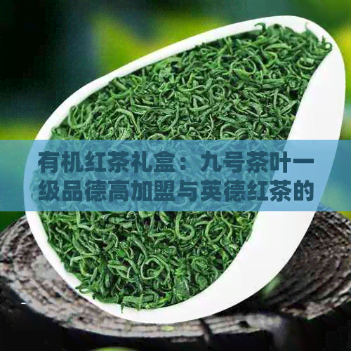 有机红茶礼盒：九号茶叶一级品德高加盟与英德红茶的完美融合