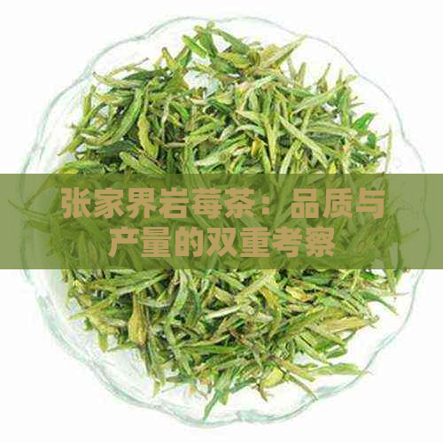 张家界岩莓茶：品质与产量的双重考察