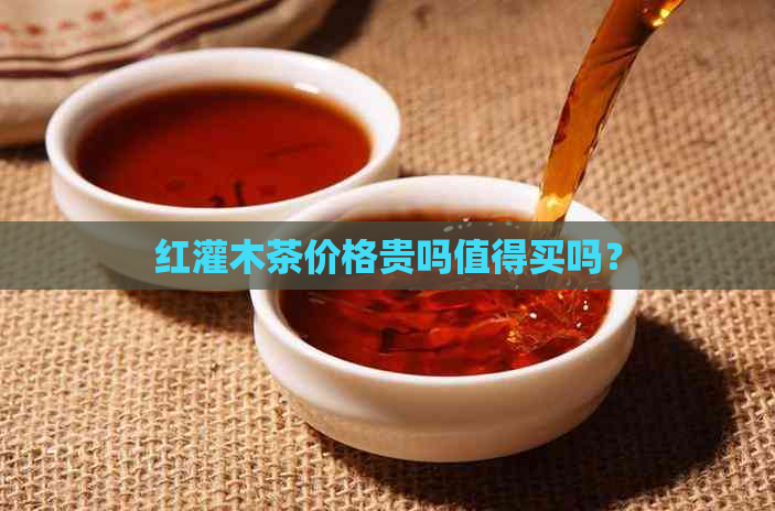 红灌木茶价格贵吗值得买吗？