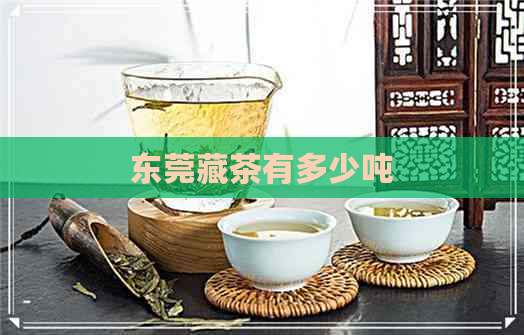 东莞藏茶有多少吨