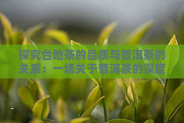 探究台地茶的品质与普洱茶的关系：一场关于普洱茶的深度解读