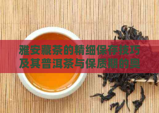 雅安藏茶的精细保存技巧及其普洱茶与保质期的奥秘