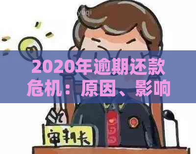 2020年逾期还款危机：原因、影响与解决方案全方位解析