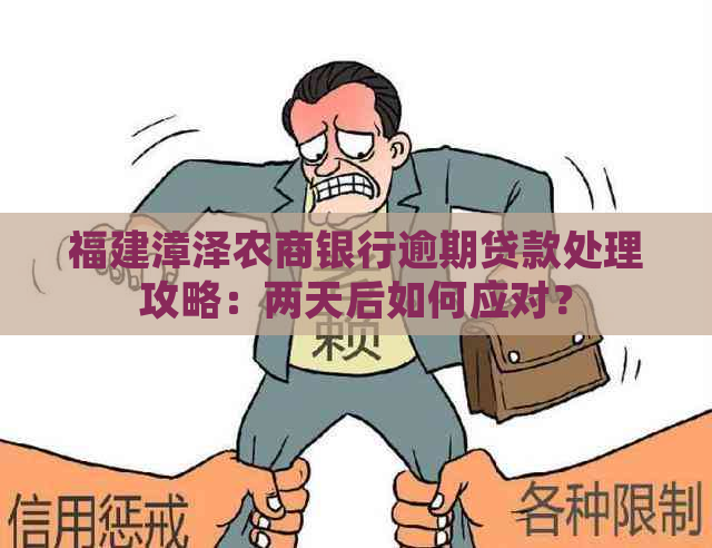 福建漳泽农商银行逾期贷款处理攻略：两天后如何应对？