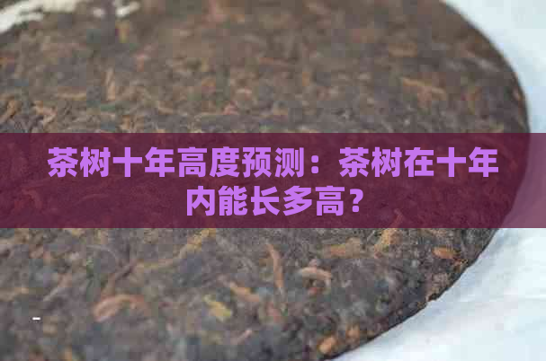 茶树十年高度预测：茶树在十年内能长多高？