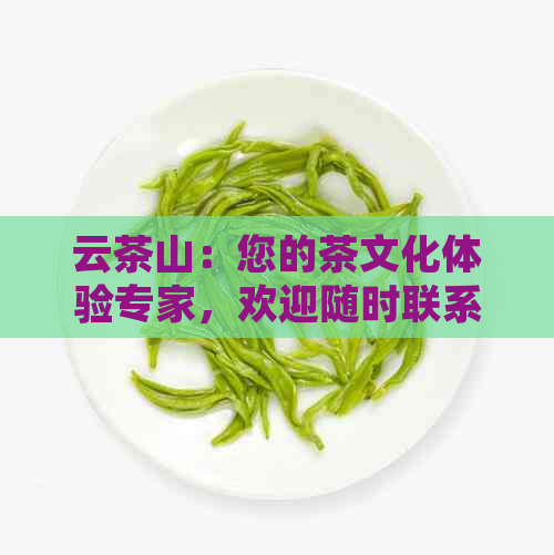 云茶山：您的茶文化体验专家，欢迎随时联系我们！