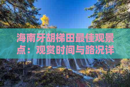 海南牙胡梯田更佳观景点：观赏时间与路况详解