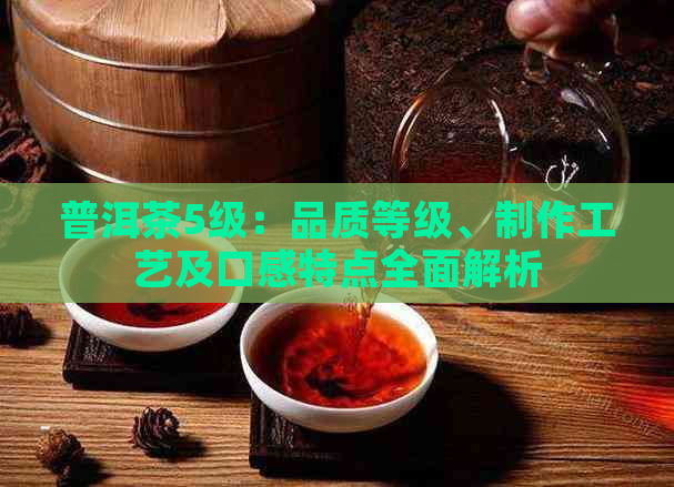 普洱茶5级：品质等级、制作工艺及口感特点全面解析