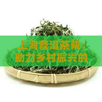 上海普洱茶帮：助力乡村振兴的绿色产业典范