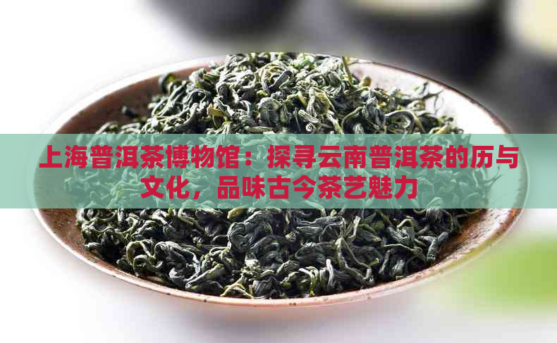 上海普洱茶博物馆：探寻云南普洱茶的历与文化，品味古今茶艺魅力