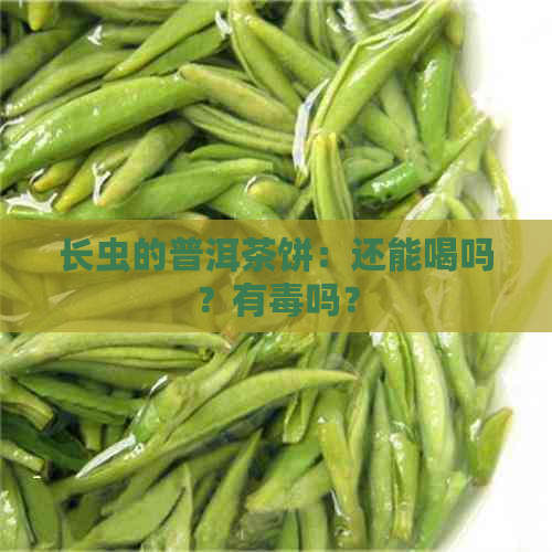 长虫的普洱茶饼：还能喝吗？有吗？