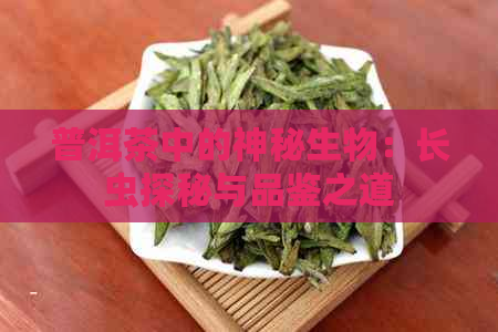 普洱茶中的神秘生物：长虫探秘与品鉴之道