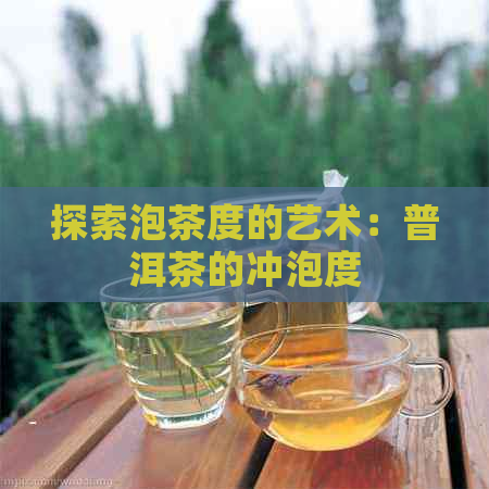 探索泡茶度的艺术：普洱茶的冲泡度