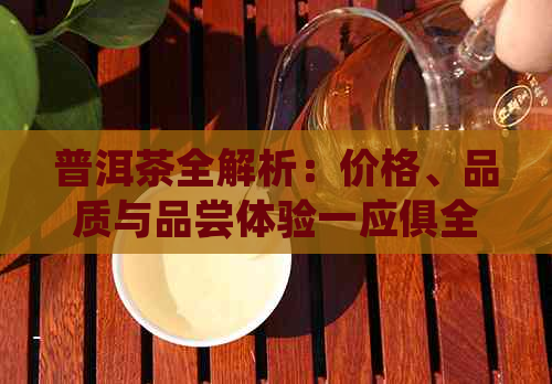 普洱茶全解析：价格、品质与品尝体验一应俱全，让你轻松选购与品鉴