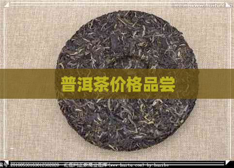 普洱茶价格品尝