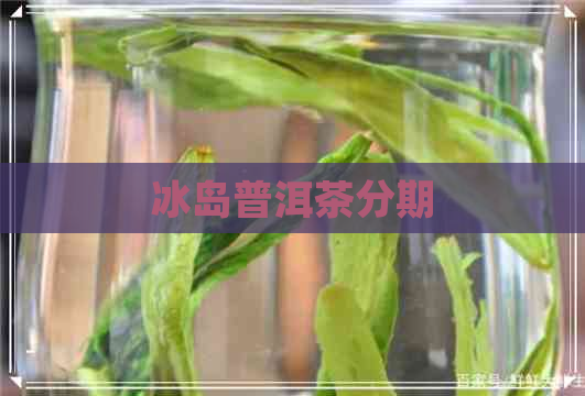 冰岛普洱茶分期