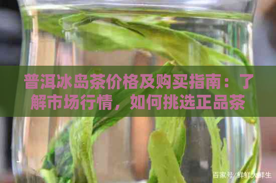 普洱冰岛茶价格及购买指南：了解市场行情，如何挑选正品茶叶