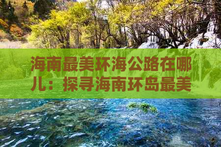 海南最美环海公路在哪儿：探寻海南环岛最美观光旅游公路