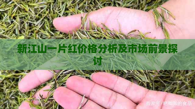 新江山一片红价格分析及市场前景探讨