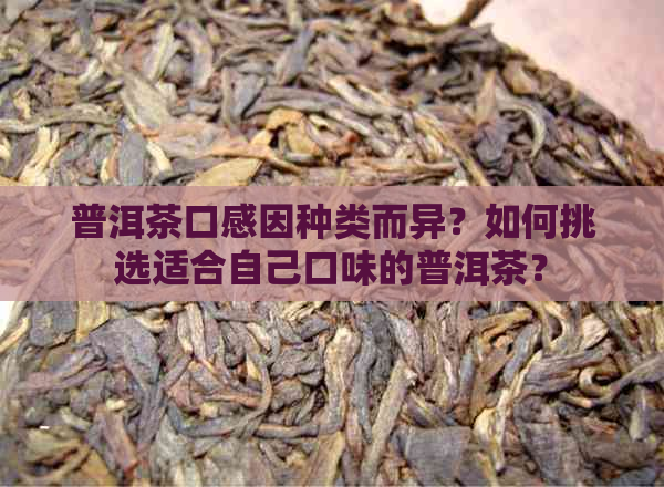 普洱茶口感因种类而异？如何挑选适合自己口味的普洱茶？