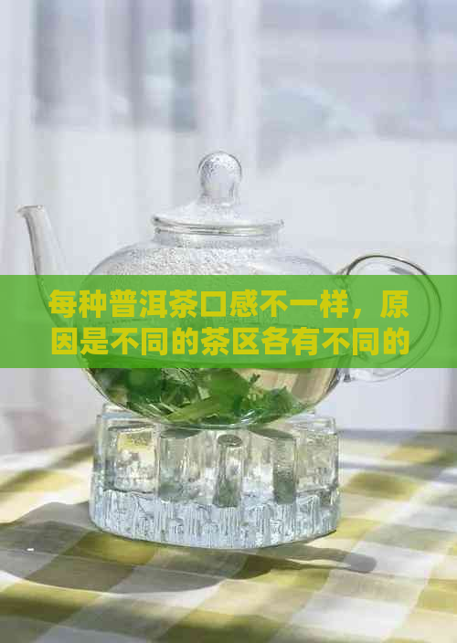 每种普洱茶口感不一样，原因是不同的茶区各有不同的口感。