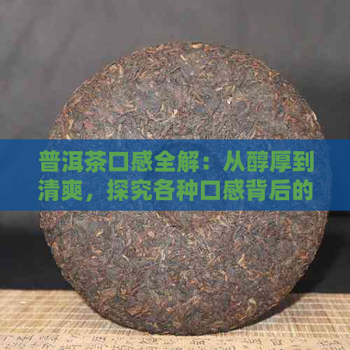 普洱茶口感全解：从醇厚到清爽，探究各种口感背后的品饮之道