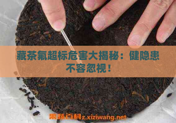 藏茶氟超标危害大揭秘：健隐患不容忽视！