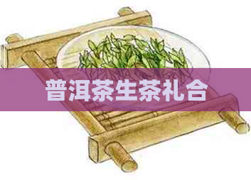 普洱茶生茶礼合