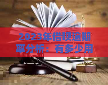 2023年借呗逾期率分析：有多少用户未按期还款？