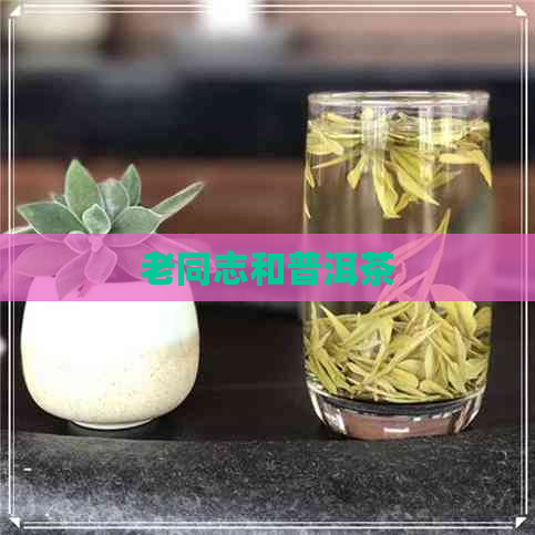 老同志和普洱茶