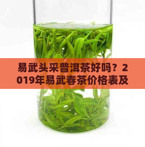 易武头采普洱茶好吗？2019年易武春茶价格表及品质解析