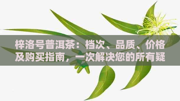 梓洛号普洱茶：档次、品质、价格及购买指南，一次解决您的所有疑问