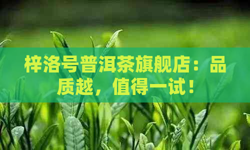 梓洛号普洱茶旗舰店：品质越，值得一试！