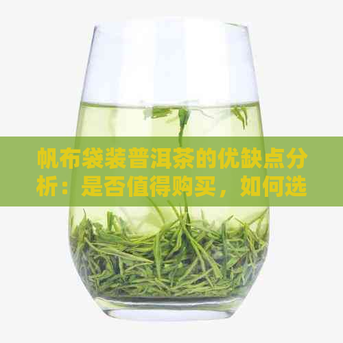 帆布袋装普洱茶的优缺点分析：是否值得购买，如何选择和使用？