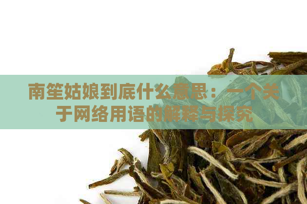 南笙姑娘到底什么意思：一个关于网络用语的解释与探究