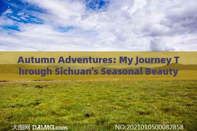 Autumn Adventures: My Journey Through Sichuan's Seasonal Beauty