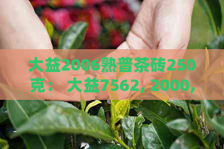 大益2006熟普茶砖250克： 大益7562, 2000, 经典66熟茶砖