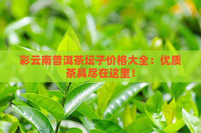 彩云南普洱茶坛子价格大全：优质茶具尽在这里！