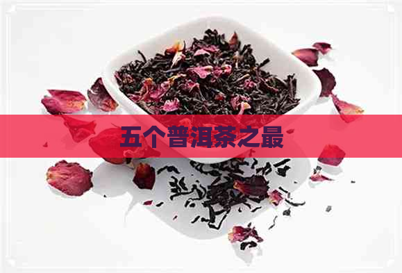 五个普洱茶之最