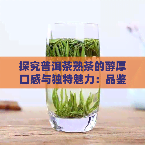 探究普洱茶熟茶的醇厚口感与独特魅力：品鉴过程与技巧