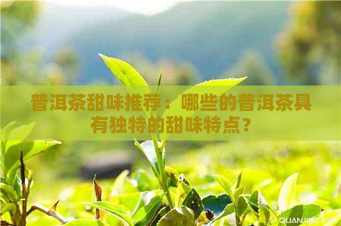 普洱茶甜味推荐：哪些的普洱茶具有独特的甜味特点？