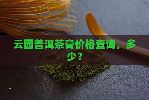 云园普洱茶膏价格查询，多少？