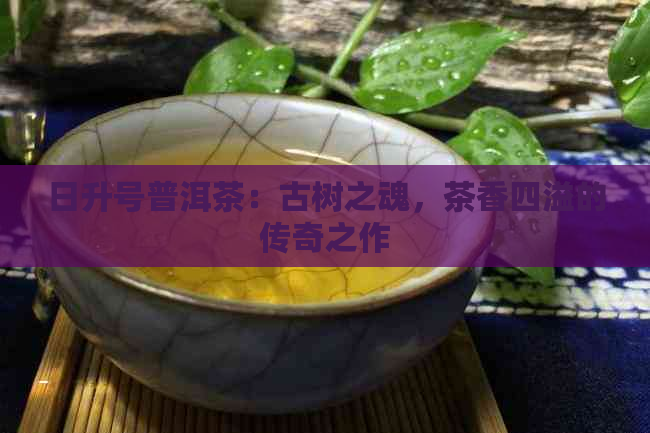 日升号普洱茶：古树之魂，茶香四溢的传奇之作