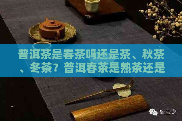 普洱茶是春茶吗还是茶、秋茶、冬茶？普洱春茶是熟茶还是生茶？