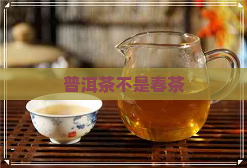 普洱茶不是春茶